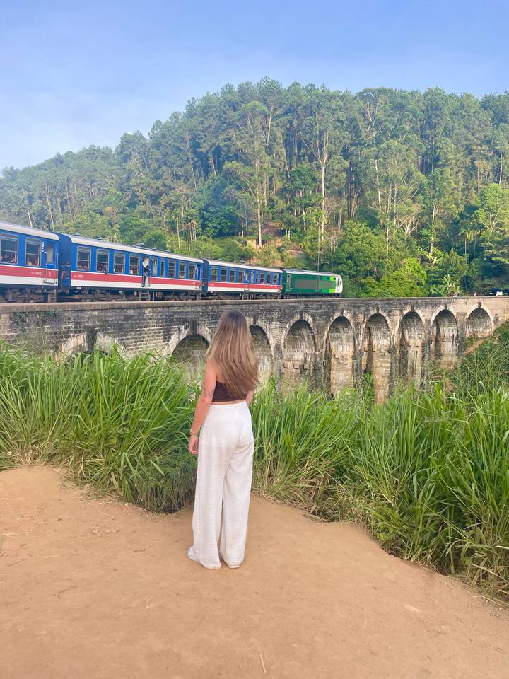 Vue de dos d'une femme regardant un train traverser un pont historique.