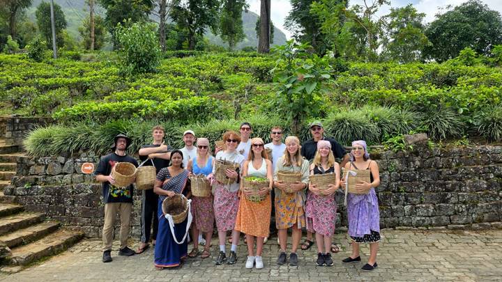 Groupe de personnes tenant des paniers dans un jardin de thé luxuriant.
