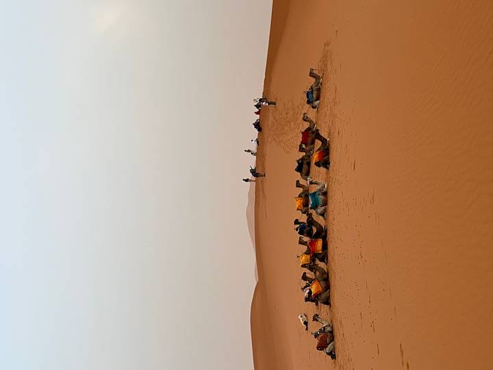 Kamele ruhen auf Sanddünen mit Menschen in der Ferne.