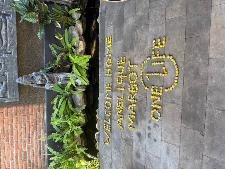 Exposition décorative avec des pierres formant des mots au sol, près d'une statue et de plantes.