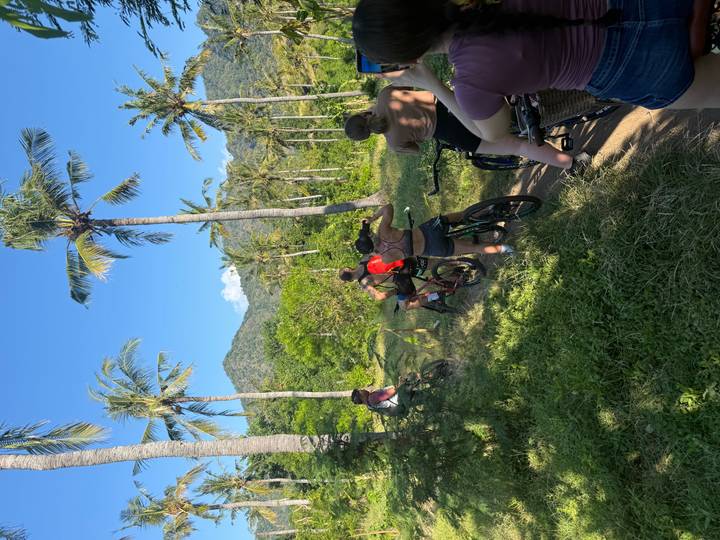 Groupe de personnes faisant du vélo le long d'un sentier entouré de palmiers et de collines.