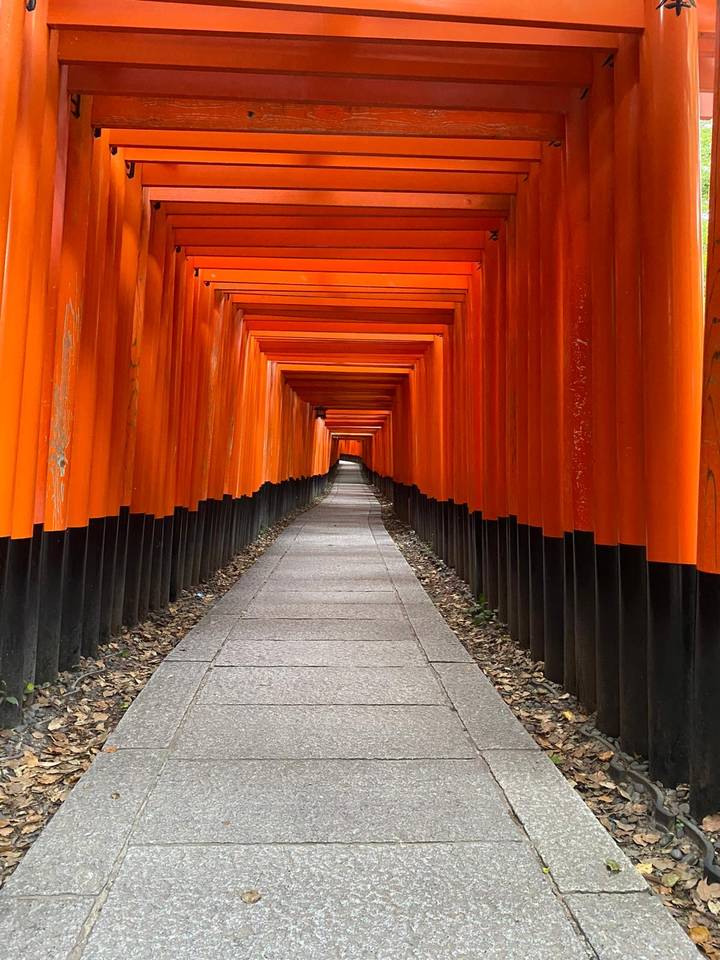 Chemin à travers les emblématiques portes torii rouges.