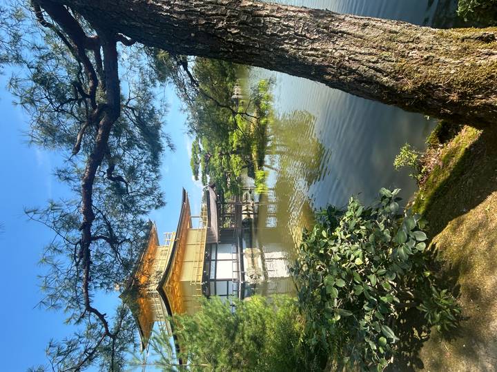 Vue panoramique sur le lac avec un pavillon doré se reflétant dans l'eau.