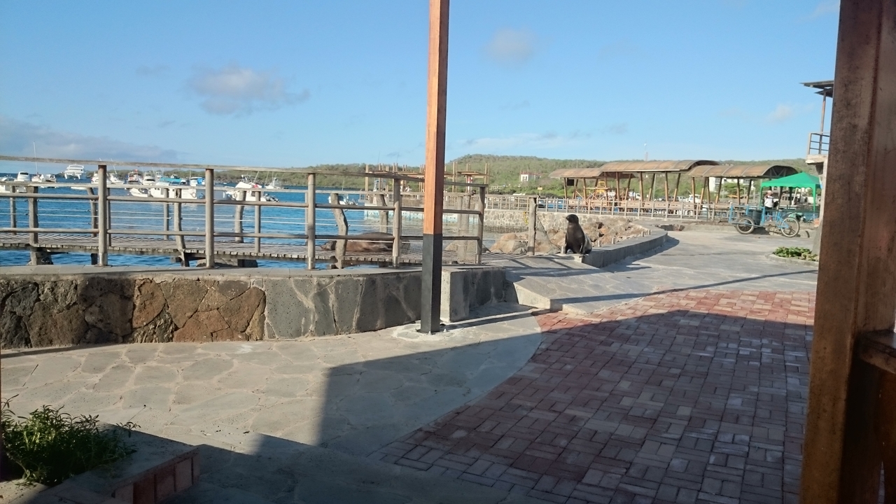 Une marina vide avec des bateaux à quai et un ciel dégagé.