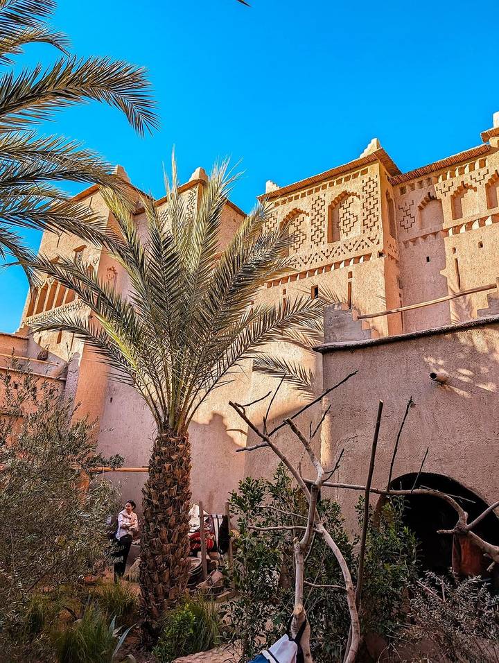 Bâtiment marocain traditionnel avec un palmier.