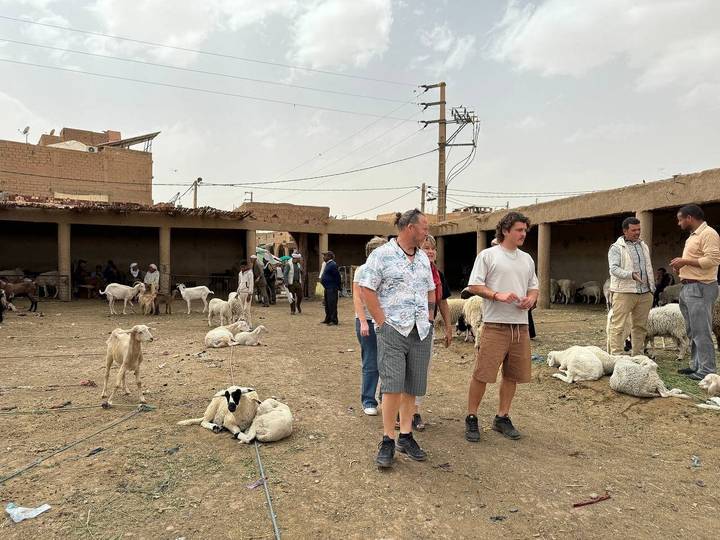 Scène de marché avec des gens et du bétail.