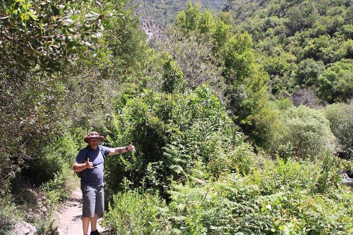 Homme faisant de la randonnée à travers une nature sauvage verdoyante.