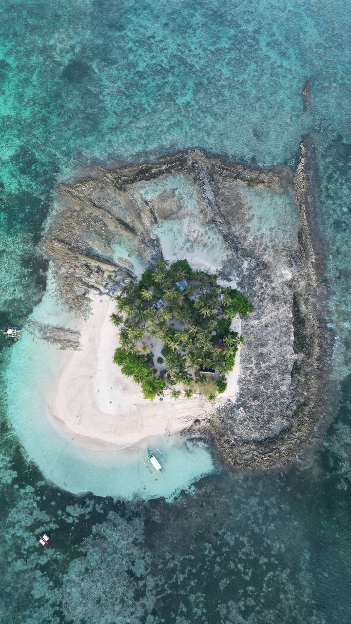 Aerial view of an island with palm trees and rocky shore.