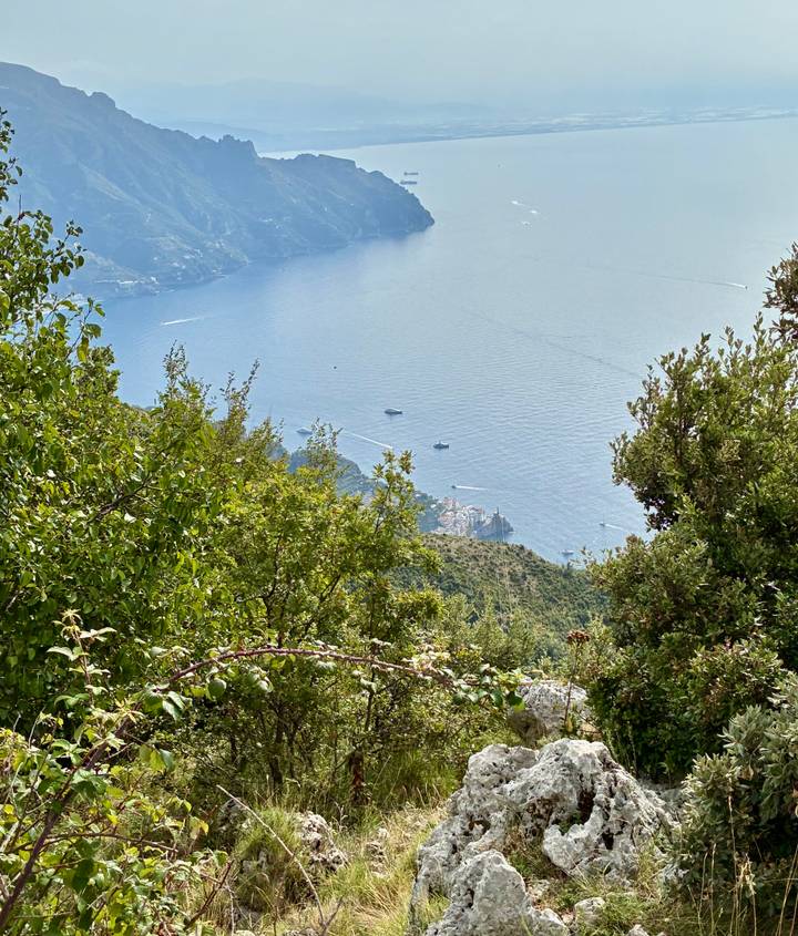 View of the sea through green foliage.