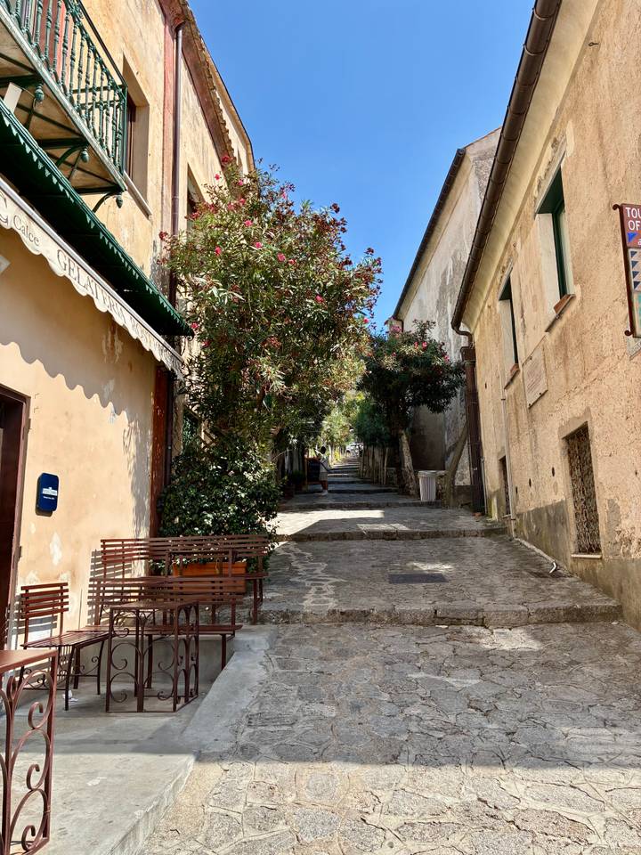 Narrow cobblestone street flanked by old buildings and trees.