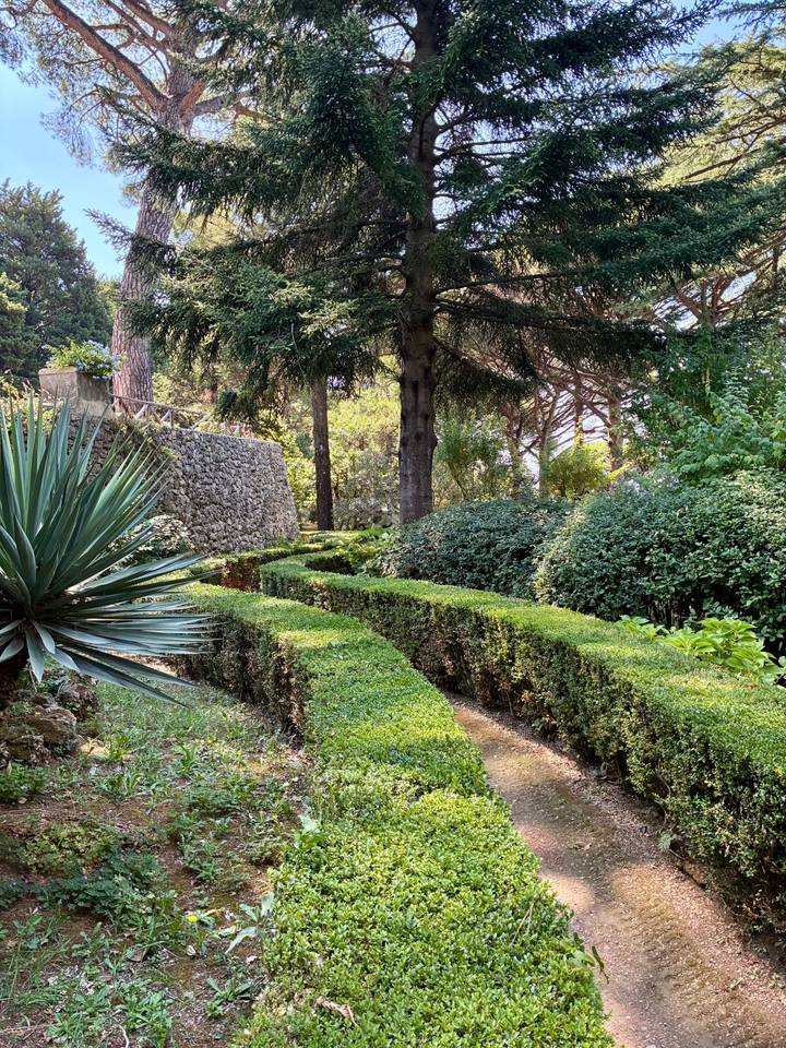 Well-maintained garden with hedges and trees.