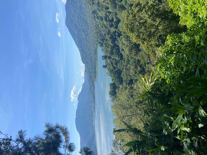 Paysage luxuriant de lac entouré de montagnes.