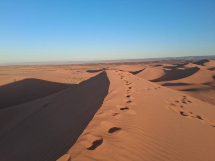 Des empreintes dans le sable sur une dune du désert.