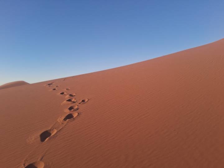 Dunes désertiques avec des empreintes sous un ciel dégagé.