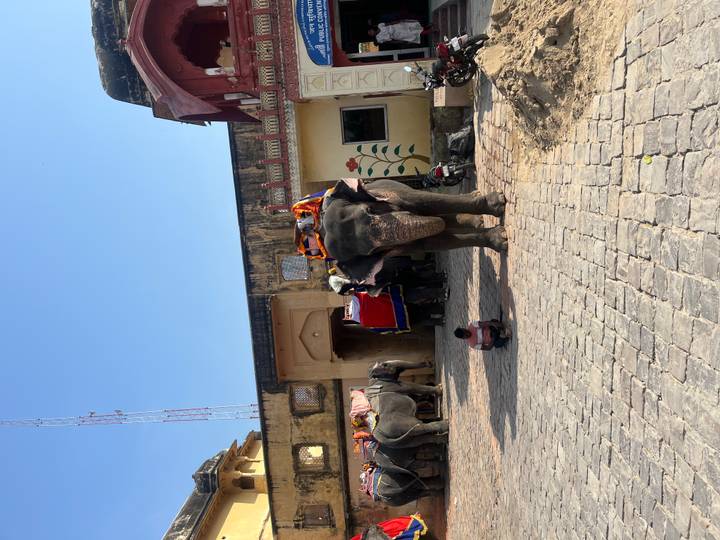 Touristen, die auf Elefanten um eine historische Stätte mit Gebäuden im Hintergrund reiten.