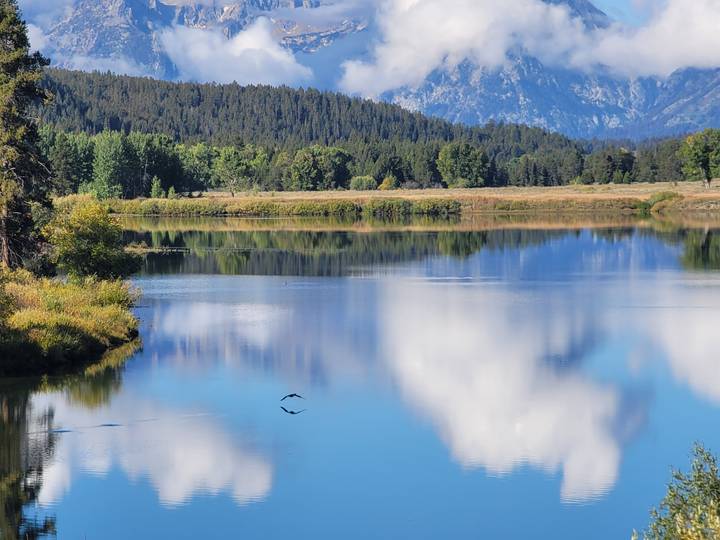 Un lac serein reflétant les arbres et les montagnes lointaines.