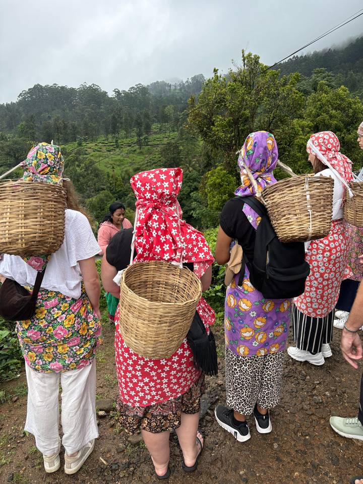 Des personnes en tenue traditionnelle avec des paniers dans un champ.