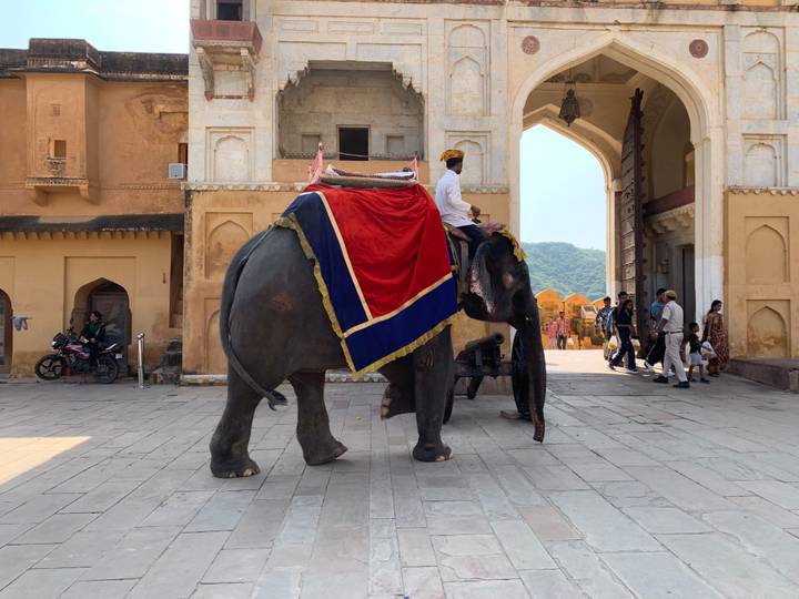 Un homme montant un éléphant orné d'un tissu décoratif dans un cadre historique.