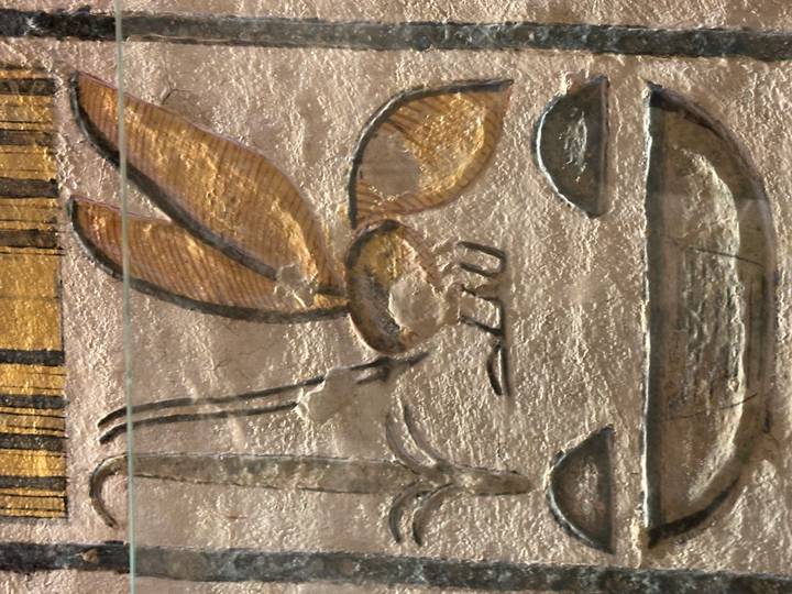 Gravures murales anciennes avec un symbole d'abeille.