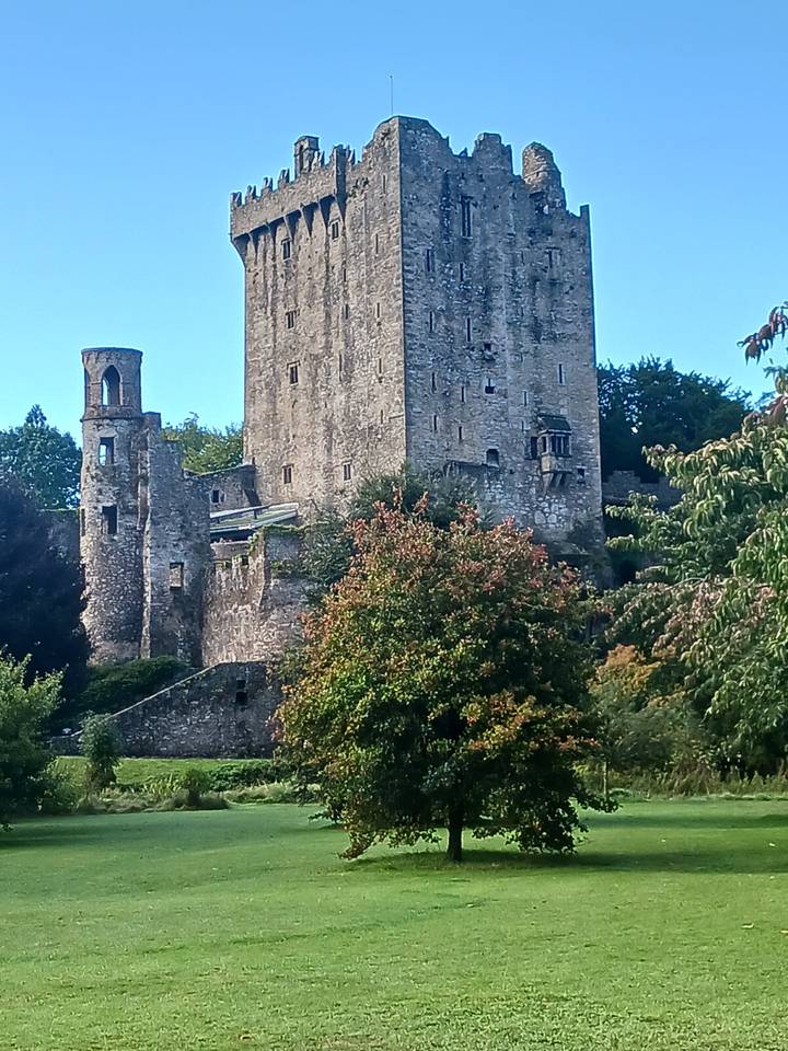 Ruines de château entourées d'arbres et de feuillage, Irlande.