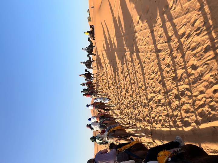 Caravane de chameaux dans le désert du Sahara, Maroc.