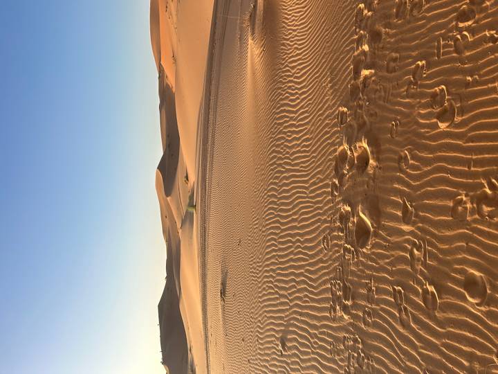 Vastes dunes de sable dans le désert du Sahara, Maroc.