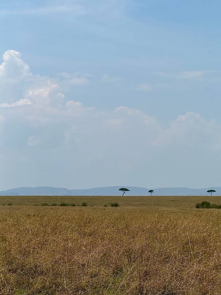 Paysage clairsemé avec des arbres and des collines lointaines.