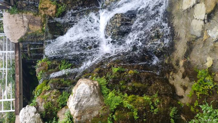 Petite cascade avec une végétation verte luxuriante