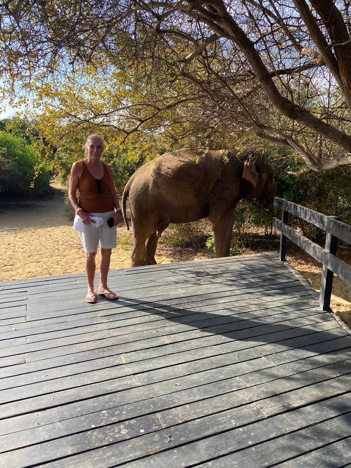 Femme debout près d'un éléphant dans un parc naturel.