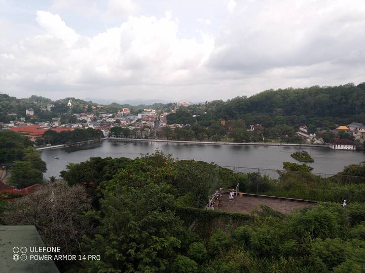 Un paysage urbain avec un lac entouré d'arbres et de bâtiments.