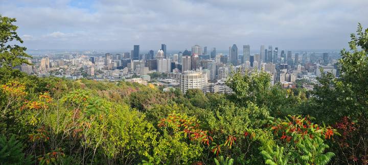Vue du paysage urbain de Montréal depuis un parc avec des arbres.