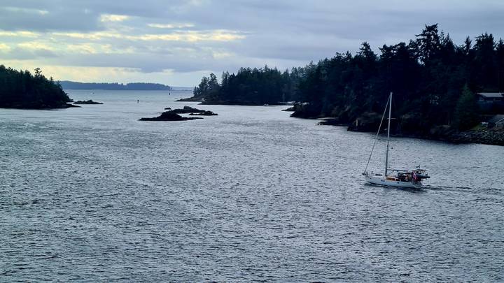 Voilier sur une étendue d'eau calme avec des îles boisées.