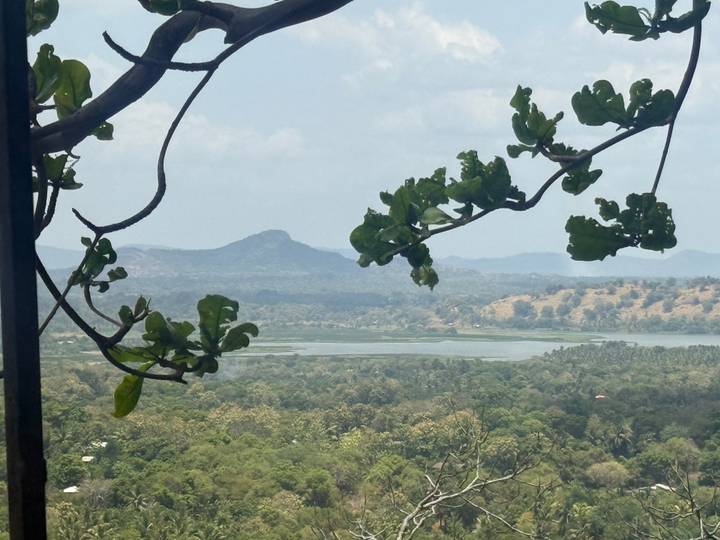 Vue lointaine d'un paysage montagneux avec feuillage.