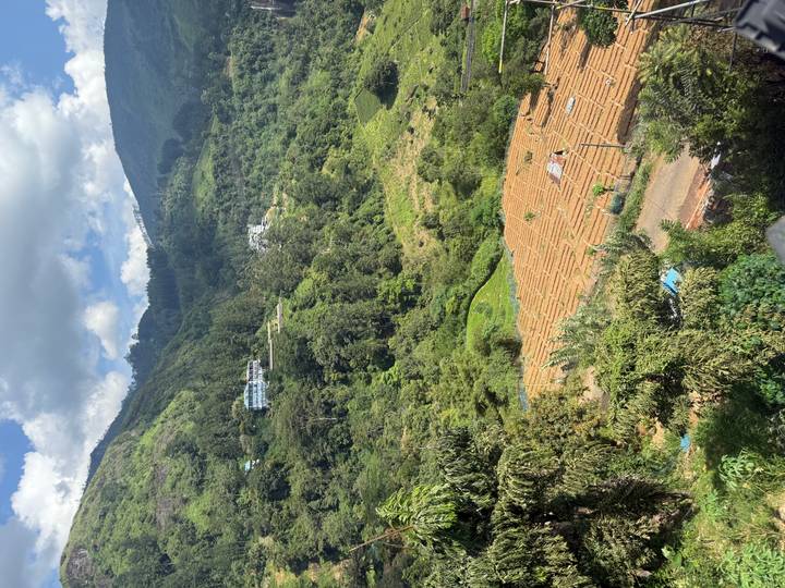 Vue panoramique de champs en terrasses et de collines verdoyantes avec des bâtiments épars.
