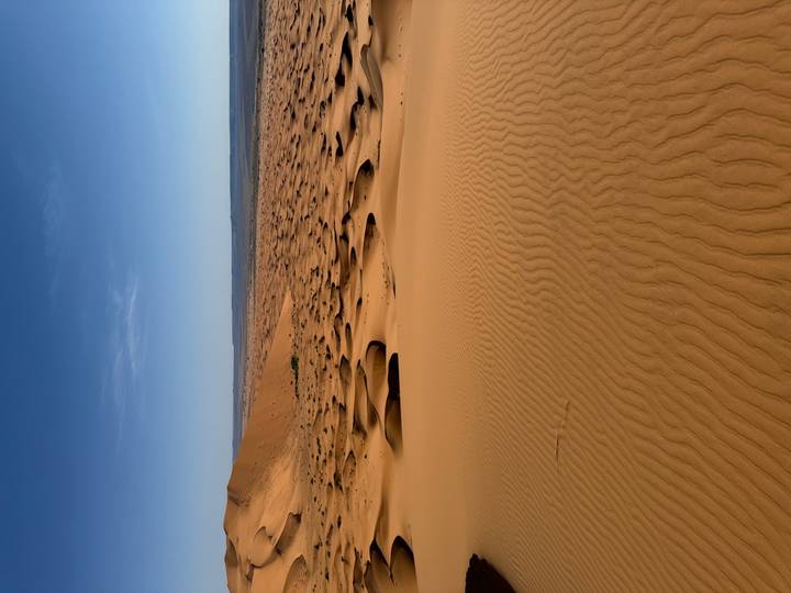 Vue expansive de dunes de sable s'étendant au loin.