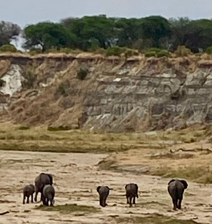 Image floue d'un paysage rocheux et herbeux.