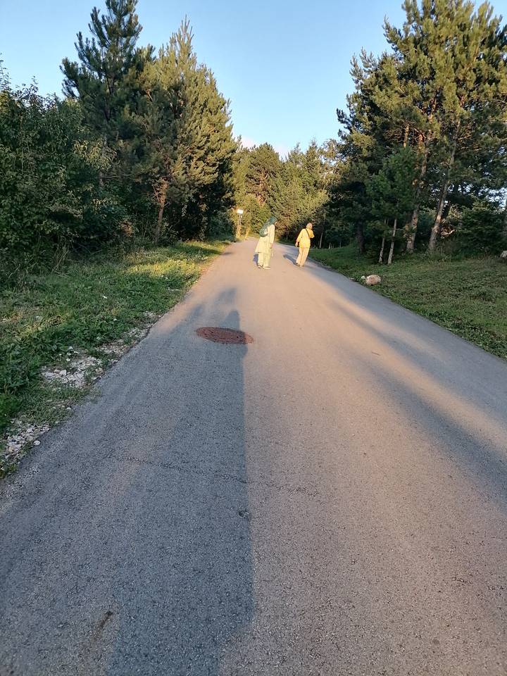 Dos personas caminando por una carretera pavimentada con árboles alrededor.