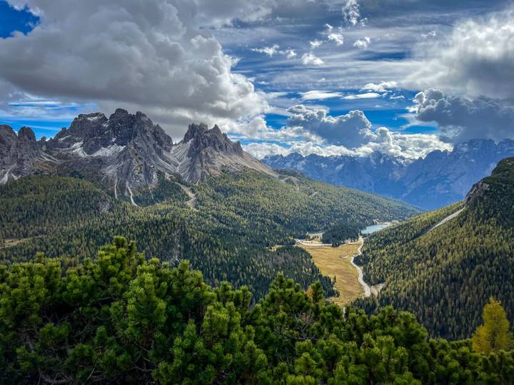 Paysage forestier expansif avec des pics montagneux.