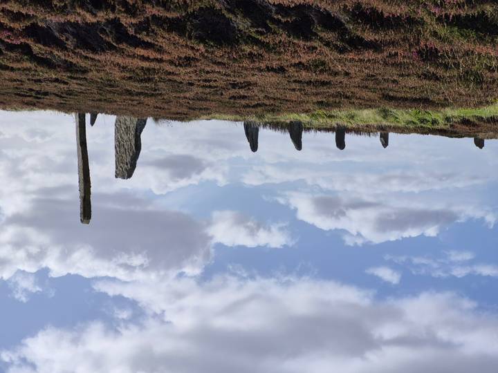 Formation de cercle de pierres sur un paysage herbeux.