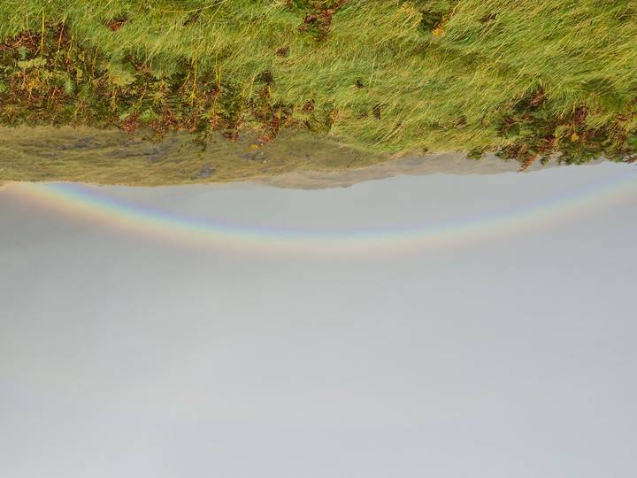 Arc-en-ciel vibrant s'étendant à travers un paysage herbeux.