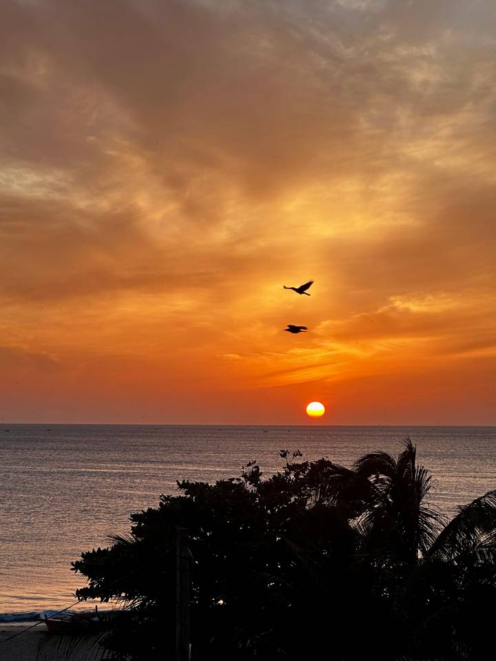 Coucher de soleil sur l'océan avec des oiseaux qui volent.