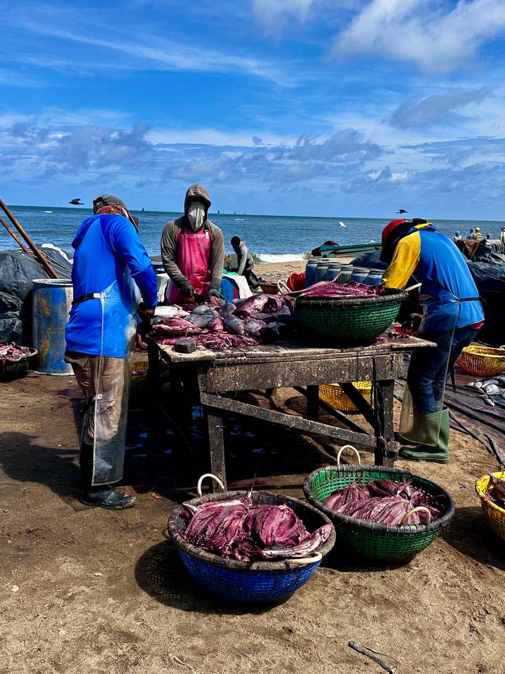 Des gens qui préparent du poisson sur une table au bord de la mer.