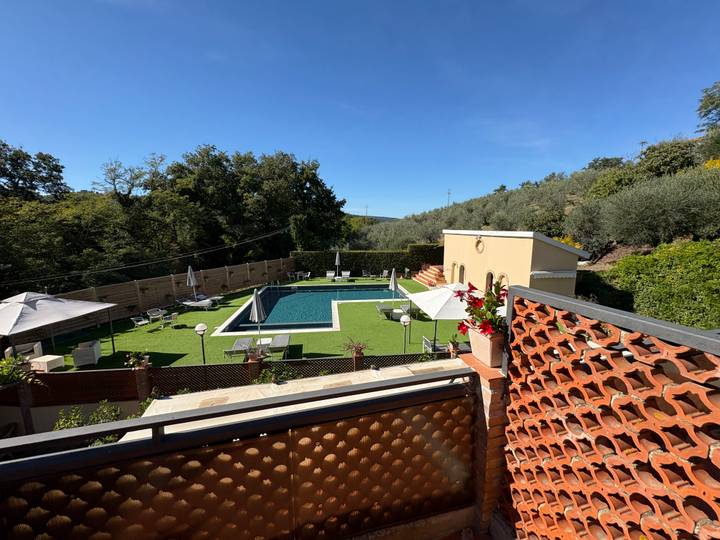 Une zone de piscine entourée de verdure.