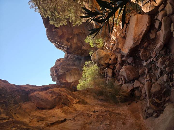 Rocky canyon with greenery and boulders.