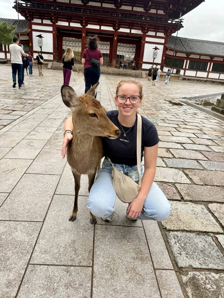 Una persona sentada junto a un ciervo en un sendero pavimentado.