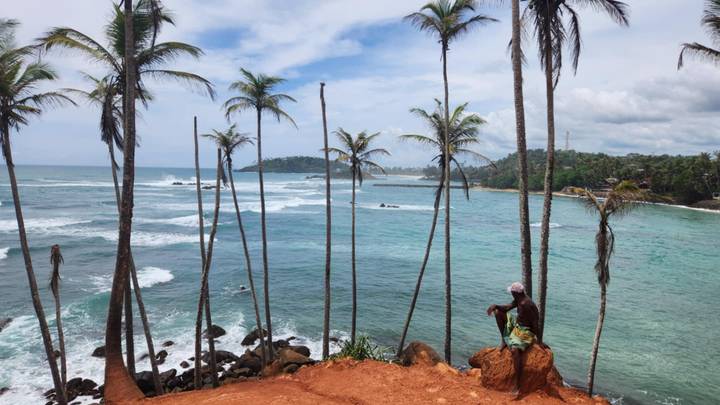 Vue panoramique de plage avec palmiers et une personne assise.