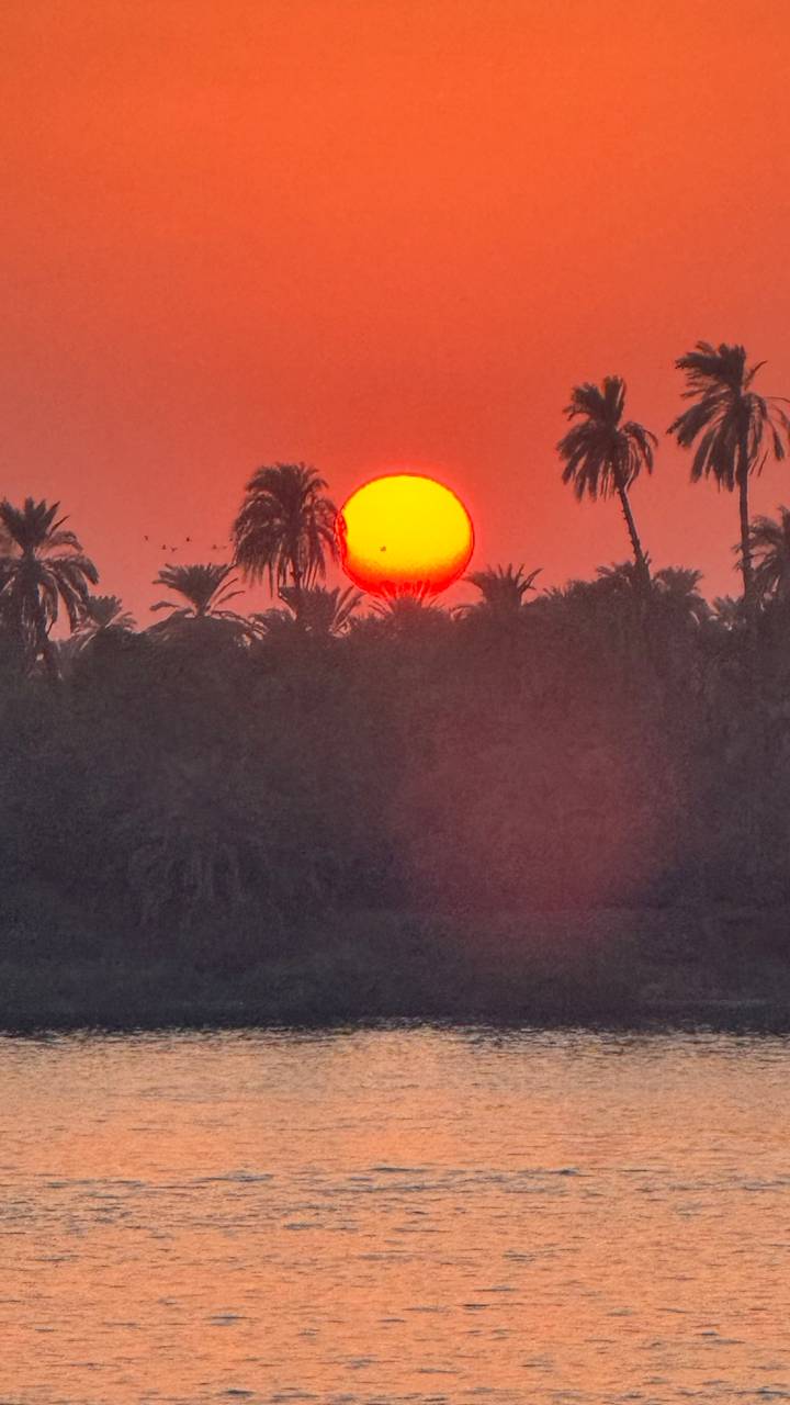 Coucher de soleil avec soleil orange et silhouettes de palmiers.