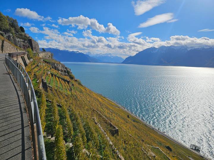 Terrasvormige wijngaarden die afdalen naar een uitgestrekt meer met uitzicht op bergen.