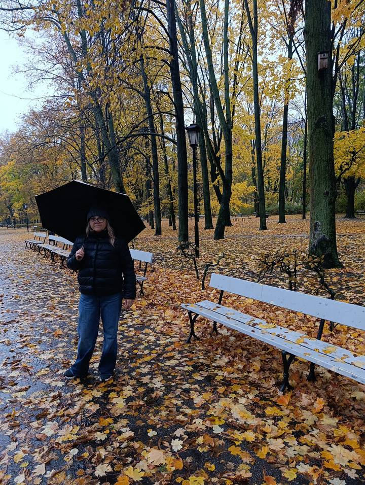 Personne avec un parapluie dans un parc avec des feuilles d'automne sur le sol.