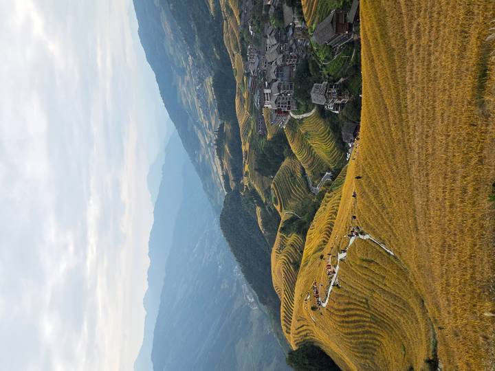 Terraced fields with mountains in the background during daytime.